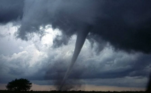 Cronaca meteo. USA, devastanti tornado mettono in ginocchio Alabama e Georgia. Almeno sette vittime – Video e foto