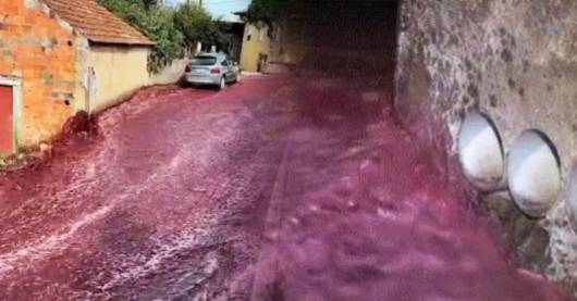 Inusuale alluvione, le strade si trasformano in fiumi di vino! Ecco dove è successo – VIDEO