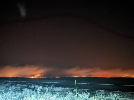 Cronaca meteo. USA, Texas. L’incendio di Smokehouse Creek ha già bruciato 50000 ettari. Due vittime e migliaia di animali morti – Video