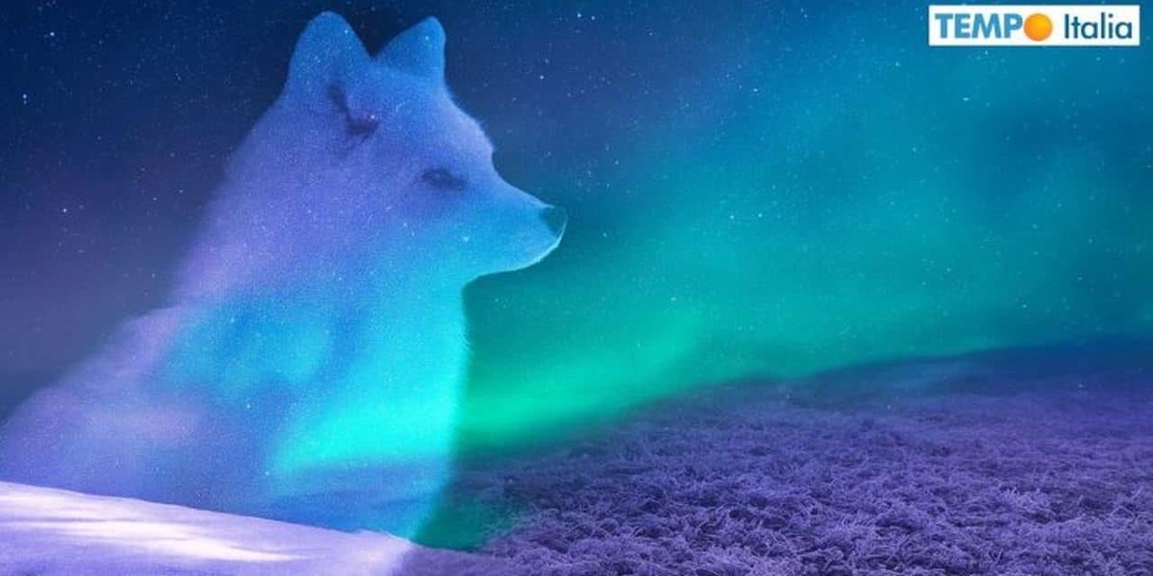 Svolta in vista, freddo e neve da inizio novembre 4 Fase invernale possibile ad inizio novembre